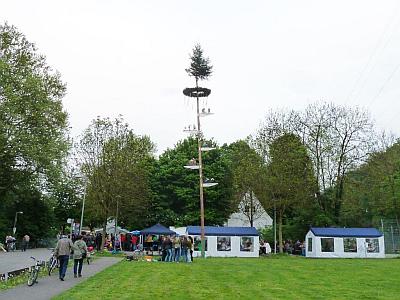 Maibaumstellen