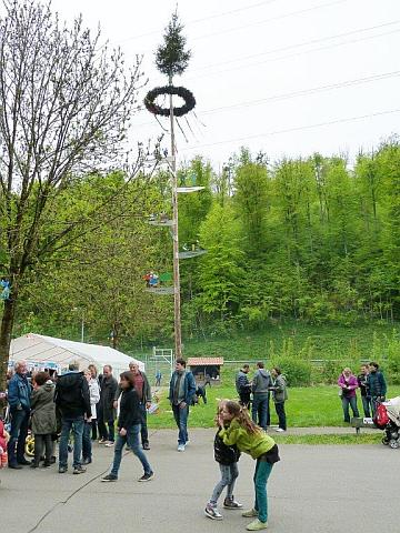 Maibaum 2015